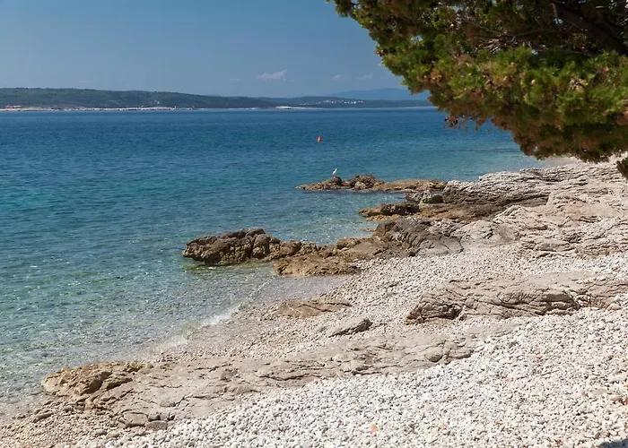 Apartman Ines